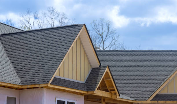 Best Asphalt Shingles Roofing  in Citrus City, TX