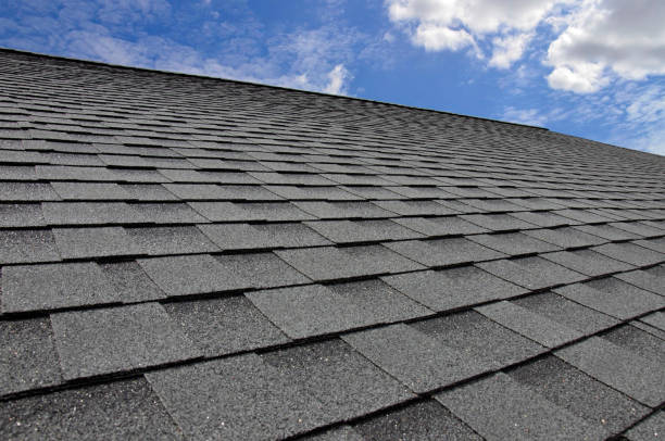 Best Roof Coating and Sealing  in Citrus City, TX