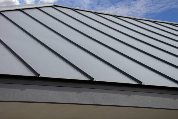 Best Solar Panel Roofing Installation  in Citrus City, TX